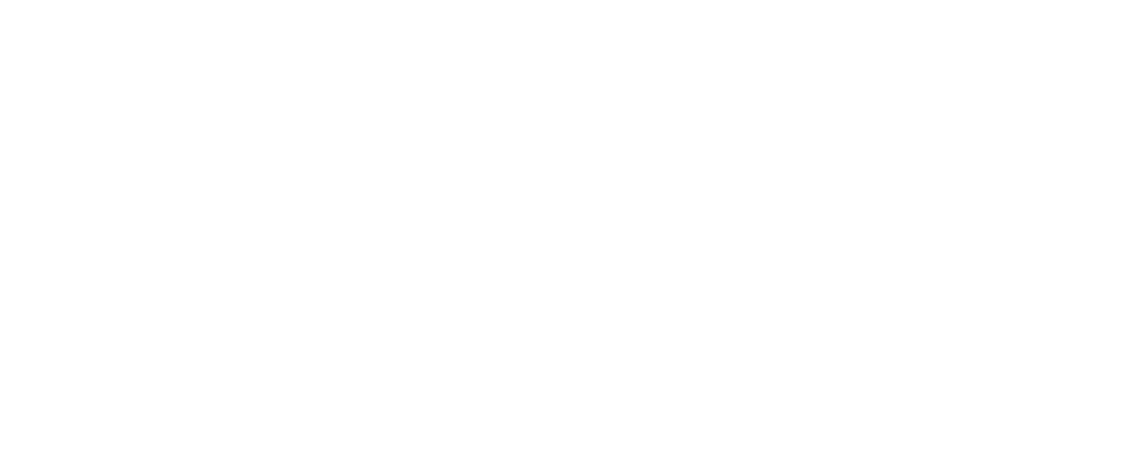 Logo weiß Wendewerk